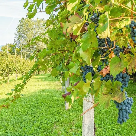 Appartamento Casa Della Nonna *